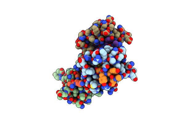 6NID image