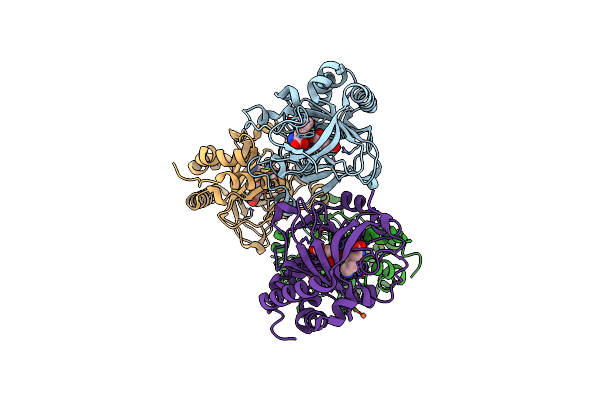 6NIE image