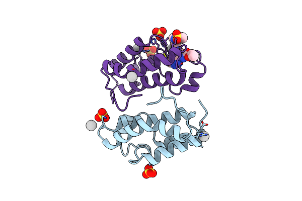 6NIM image