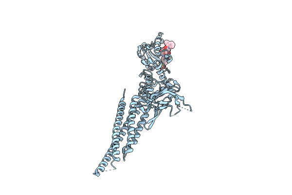 6NJS image