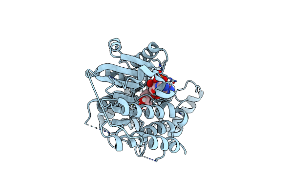 6NKI image
