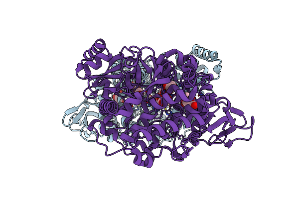 6NL2 image