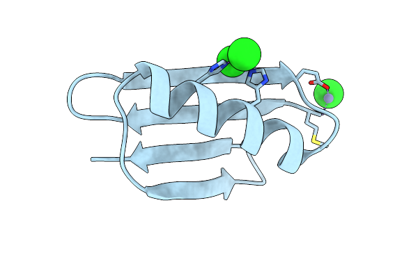 6NL8 image