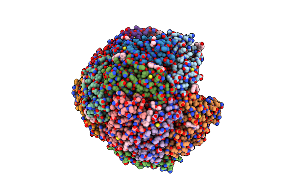 6NLM image