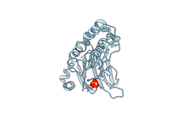 6NLO image