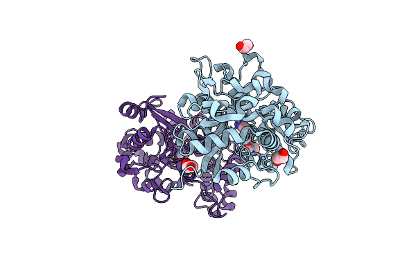 6NLP image