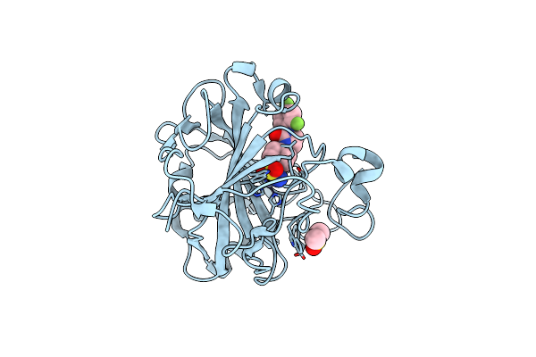 6NLV image