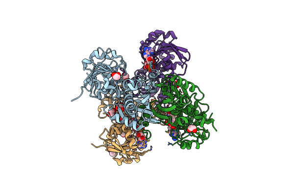 6NLX image