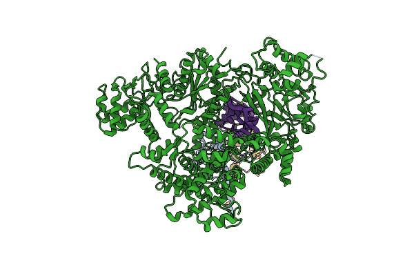 6NMA image