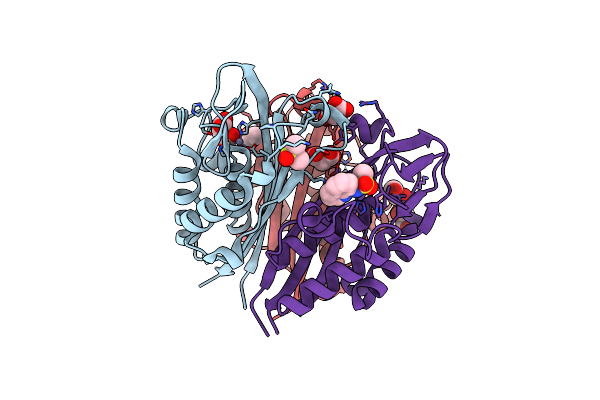6NMO image