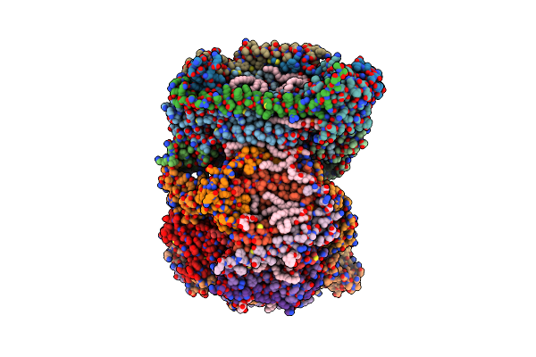 6NMP image