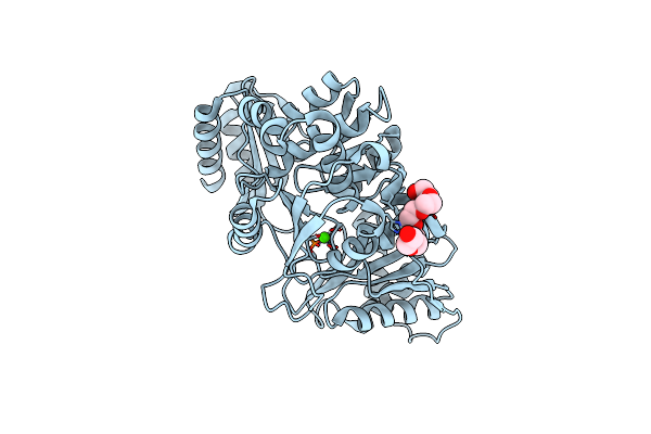 6NN2 image