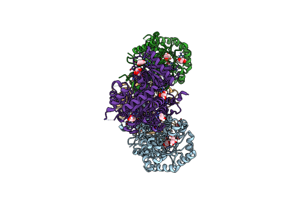 6NN5 image