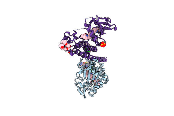 6NPE image