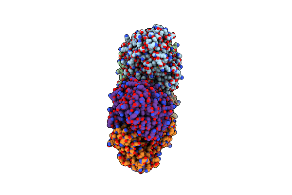 6NPF image