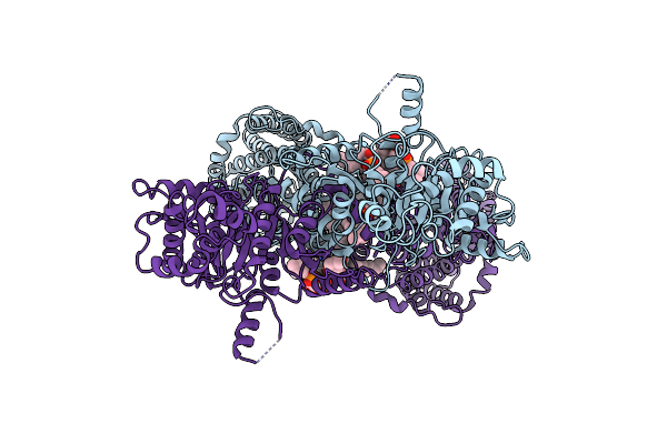 6NPL image