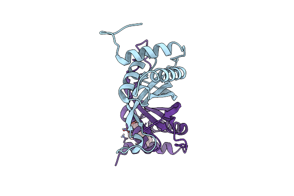 6NPP image
