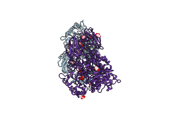 6NPS image