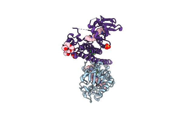 6NPU image