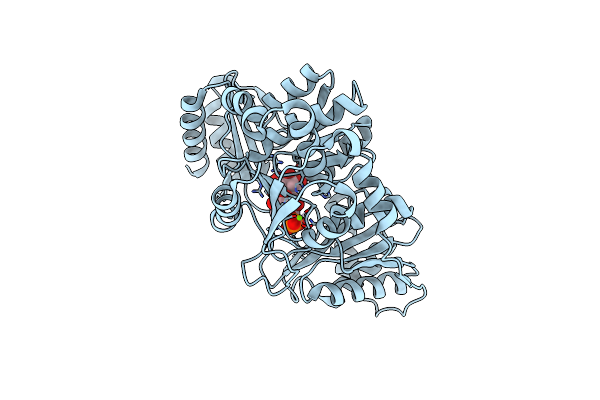 6NQH image