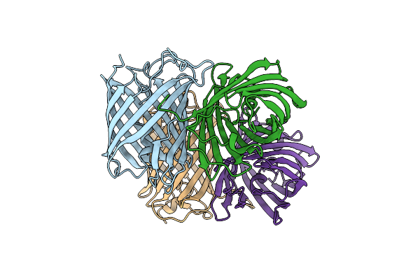 6NQJ image