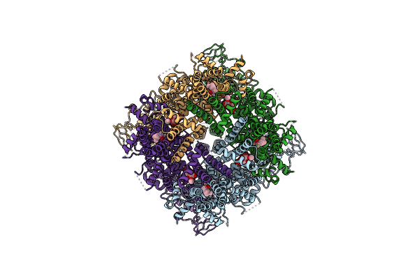 6NR2 image