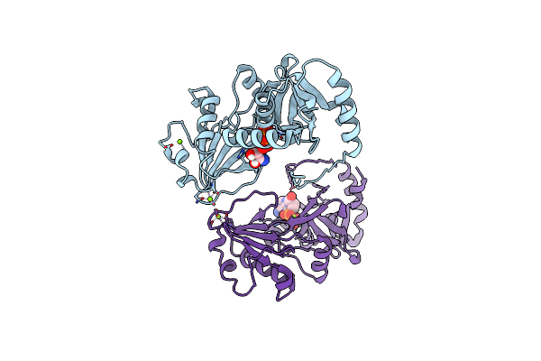 6NR6 image