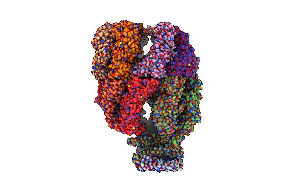 6NRB image