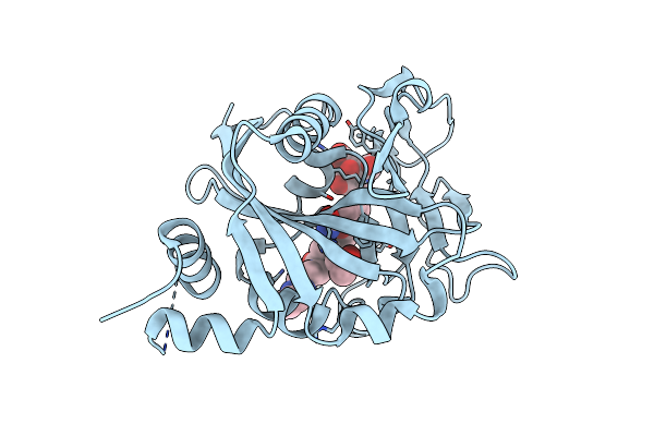 6NRF image