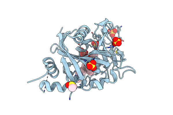 6NRH image