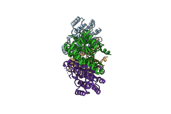 6NRP image