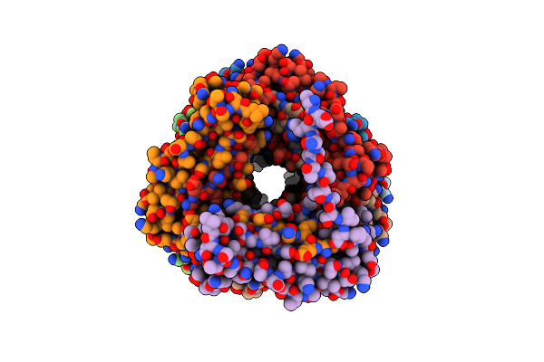 6NRV image