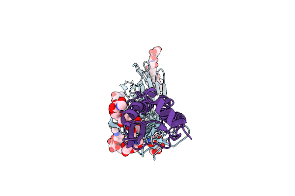 6NSB image