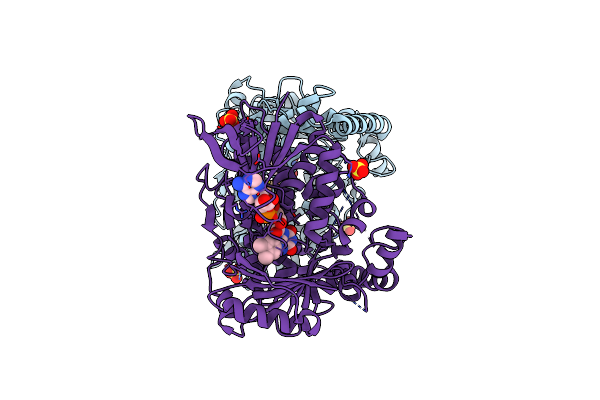 6NSD image