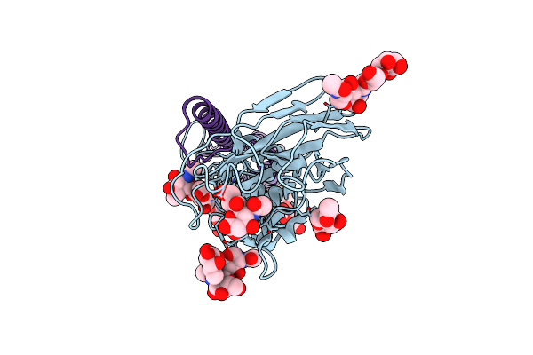 6NSF image