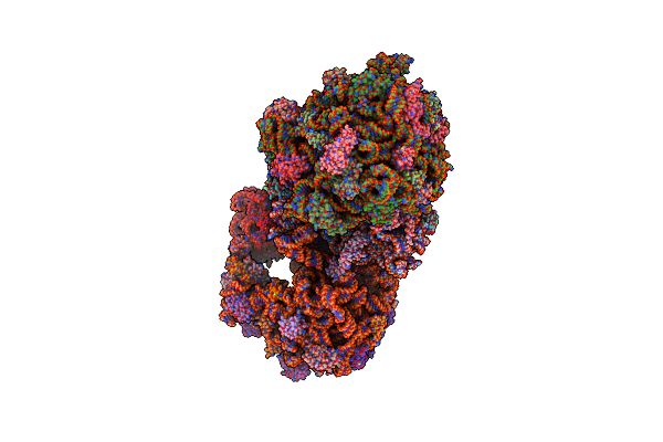 6NSH image
