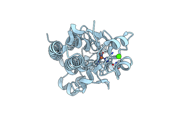 6NSI image
