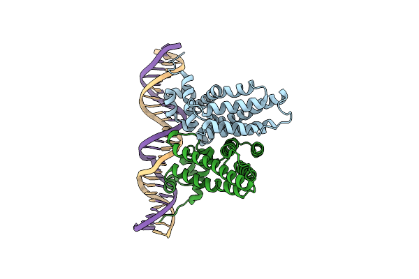 6NSM image