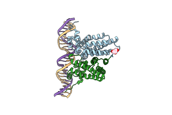 6NSN image