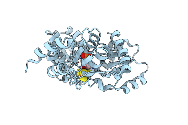 6NSO image