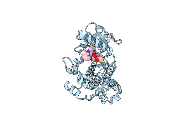 6NSP image