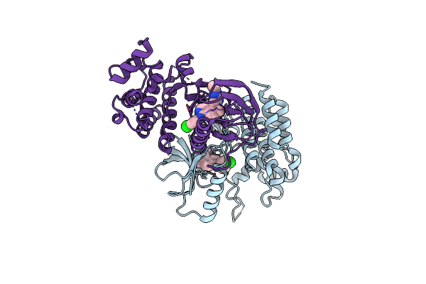 6NSQ image