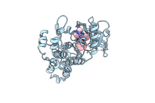 6NSS image