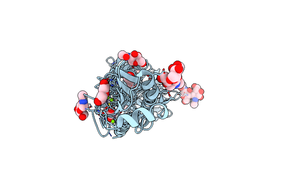 6NTF image