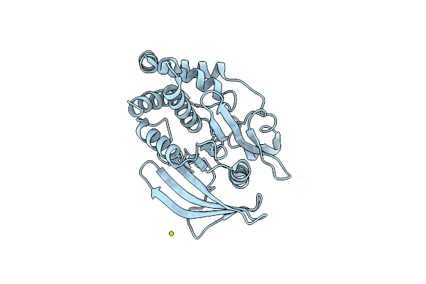 6NTP image