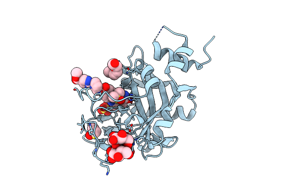6NTU image