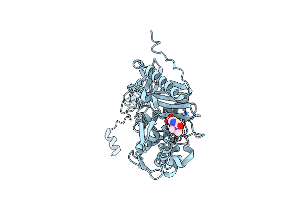 6NTZ image