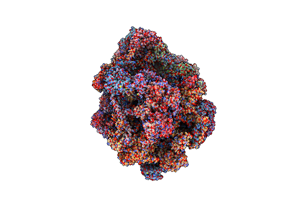 6NU2 image