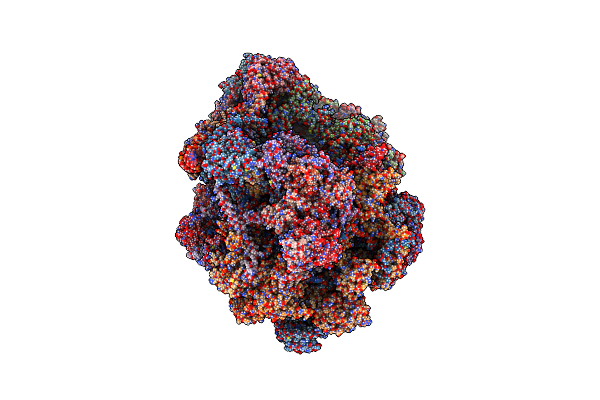 6NU3 image