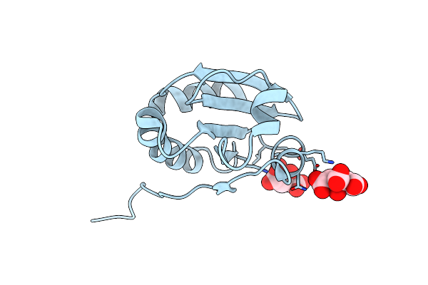 6NUP image